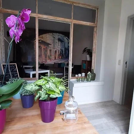 't Zandmanneke Bed & Breakfast 4*