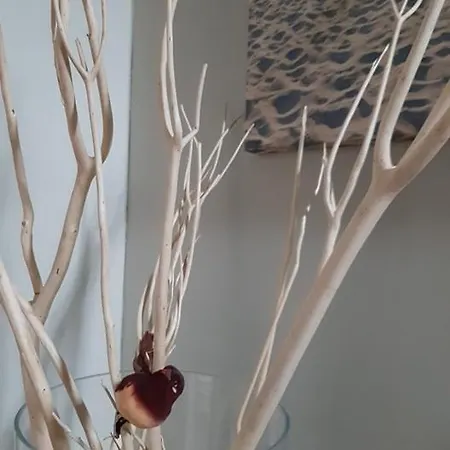 't Zandmanneke Oda ve Kahvaltı 4*