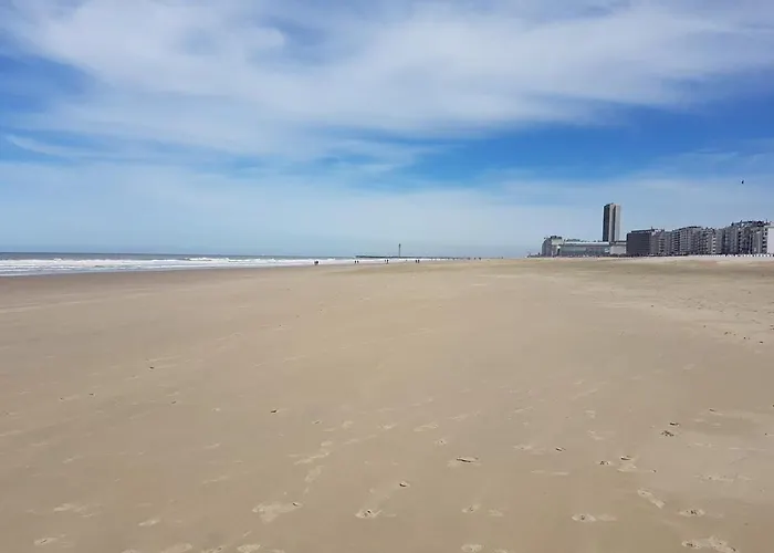 Bed & Breakfast 't Zandmanneke 4*