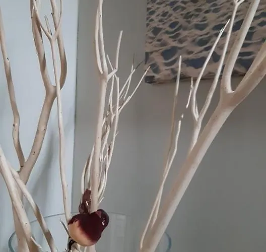 't Zandmanneke Couette-café 4*