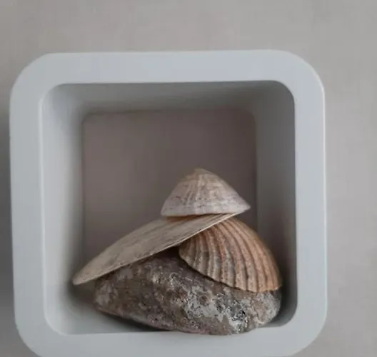 't Zandmanneke 4* Ostend